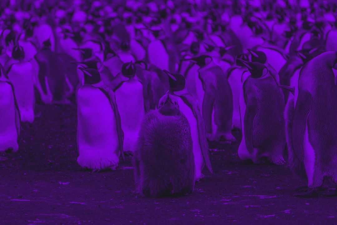 Our Journey Through Linux/Unix Landscapes